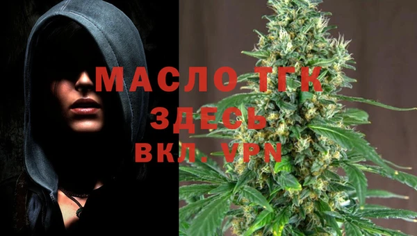 таблы Богородицк