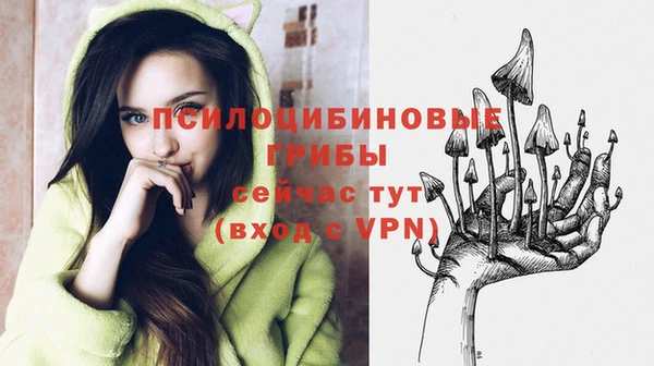 МДПВ Бронницы