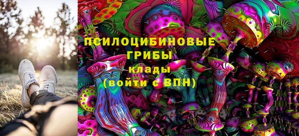 МДПВ Бронницы
