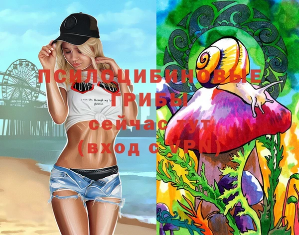 таблы Богородицк